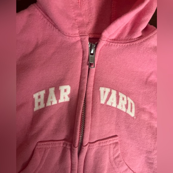 College Kids Harvard University Pink Sweat Set Hoodie Jogger Sz 12M - Picture 3 of 4